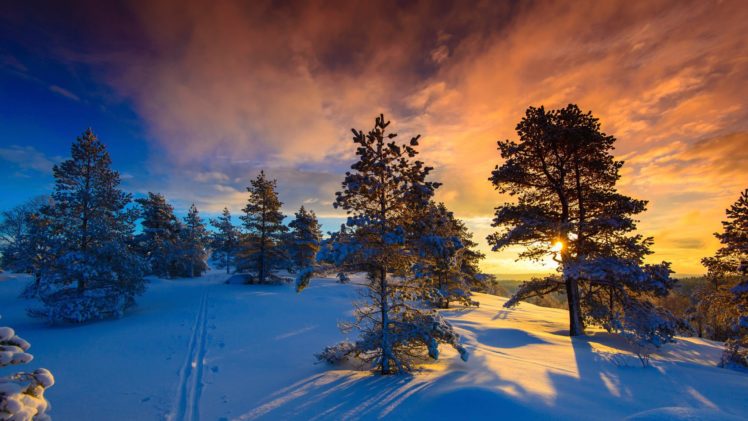snow, Naglestadheia, Winter, Frost, Norway HD Wallpaper Desktop Background
