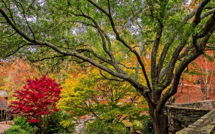 usa, Parks, Stone, Mountain, Park, Branches, Foliage, Nature, Garden, Autumn HD Wallpaper Desktop Background