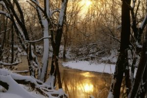 harpeth, River, Winter, Sunrise, Williamson, County, Tennessee