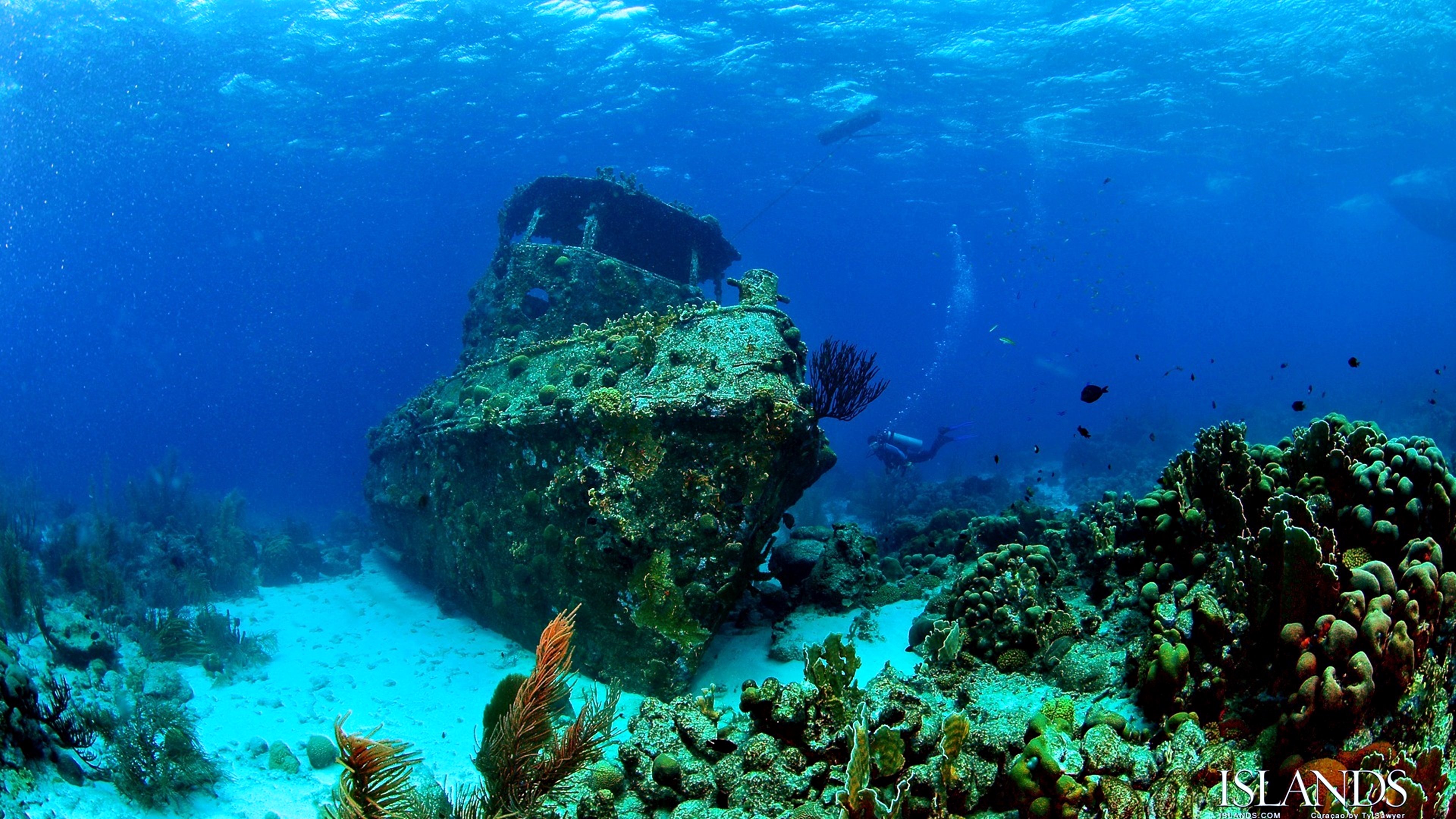 depth, Sunken, Ship, Boat, Old, Sea, Deep, Discover, Fish Wallpaper
