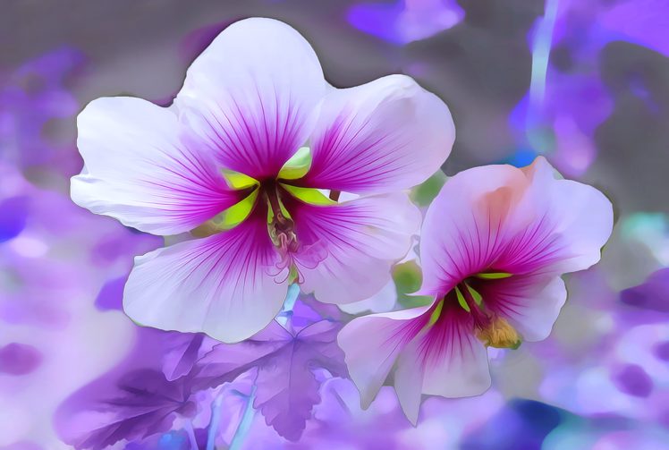 flowers, Macro, Petals, Colors, Roses, Beauty, Fantasy, Purple HD Wallpaper Desktop Background