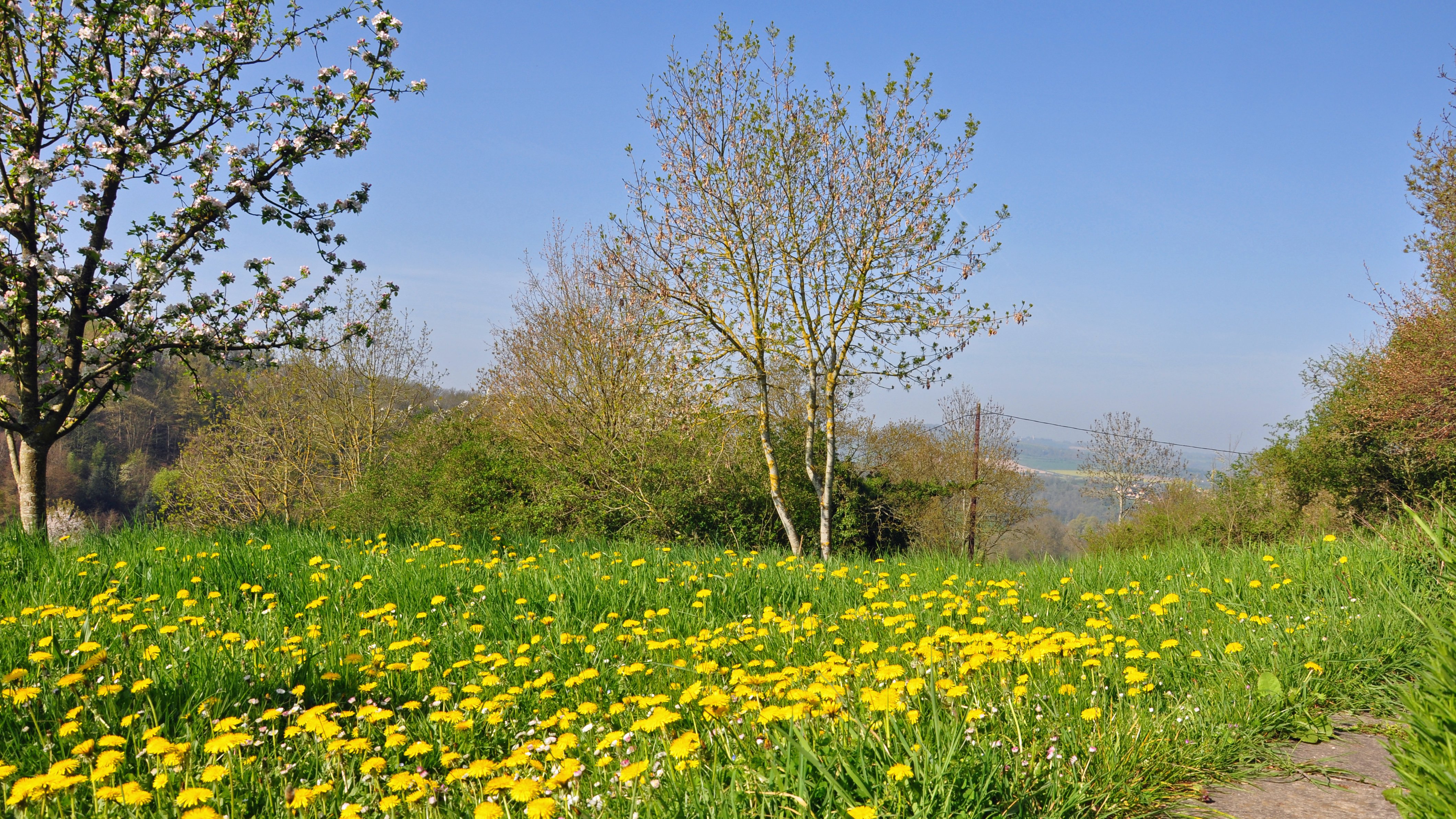 the, Lawn, At, Le, Vey Wallpaper