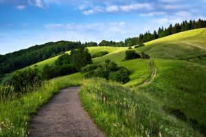 path, Way, Landscape, Hills, Mountains, Forest, Green, Nature, Spring, Sky, Trees