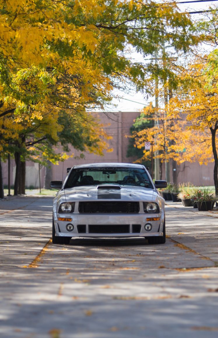 2008, Roush, 427r, Trak, Pak, Ford, Mustang, Muscle, Race, Racing HD Wallpaper Desktop Background