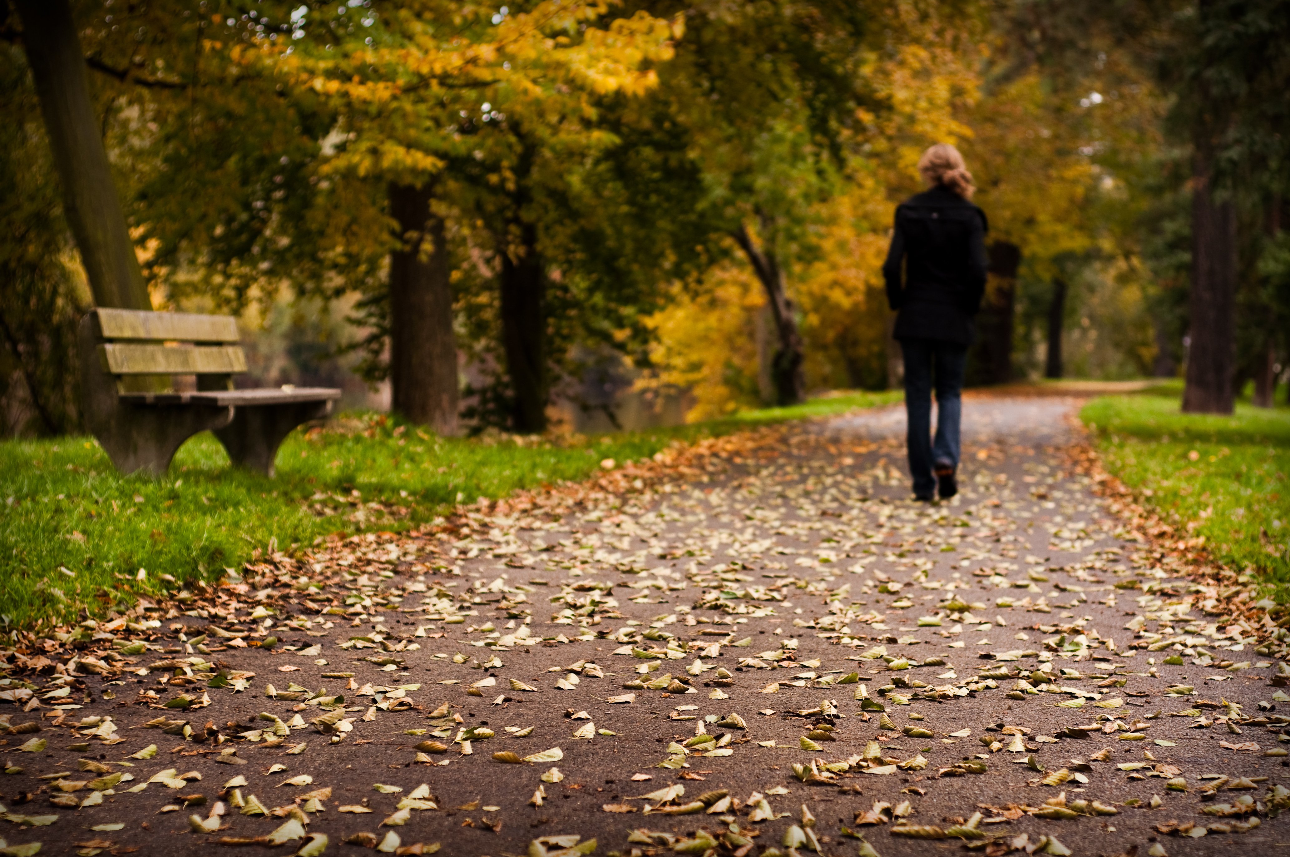 photo, Original, Forest, Autumn, Woman, Mood, Leaf, Tree, Road Wallpaper