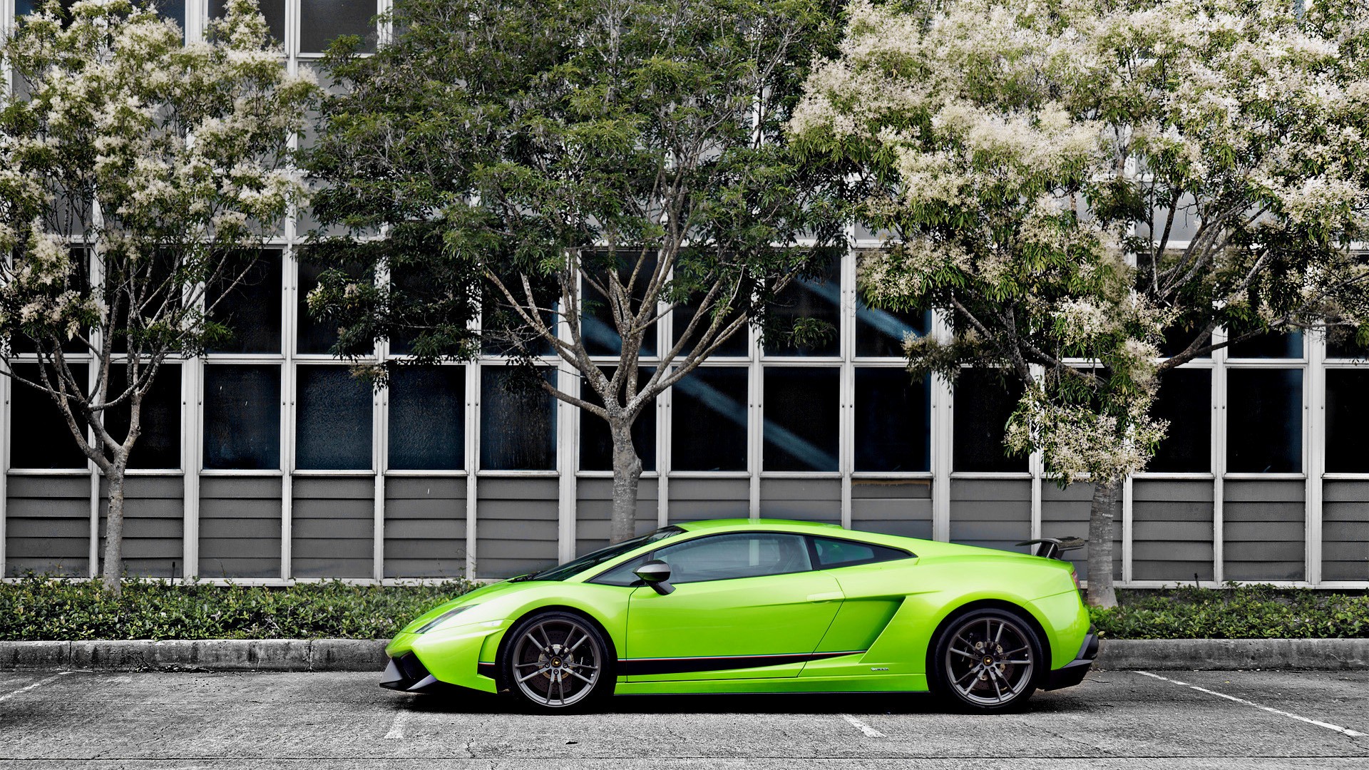 cars, Lamborghini, Gallardo, Green, Cars, Lamborghini, Gallardo, Lp570 4, Superleggera Wallpaper