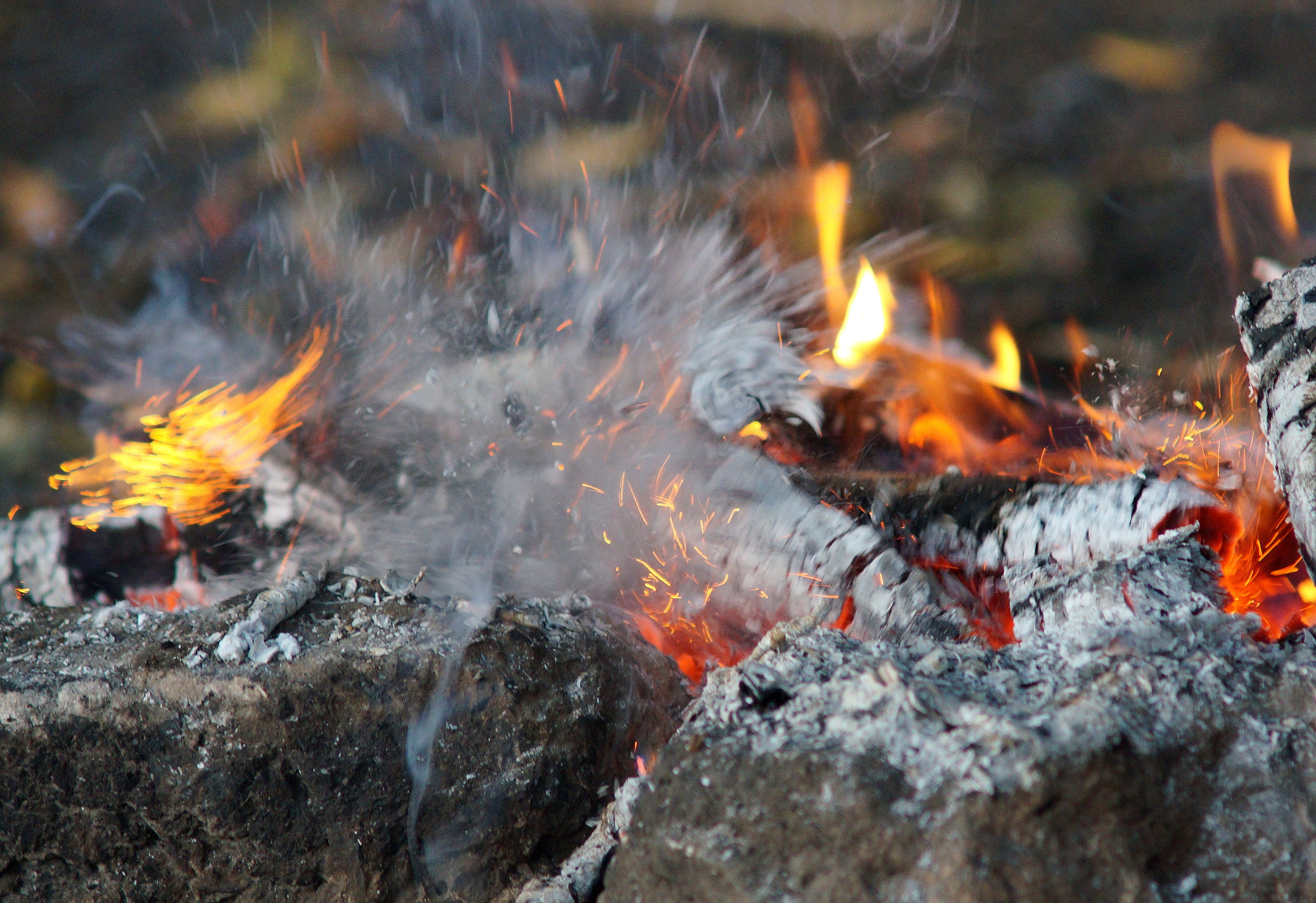 fire, Stones, Wood, Sparks, Flames, Forest Wallpaper