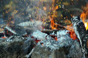 fire, Stones, Wood, Sparks, Flames, Forest