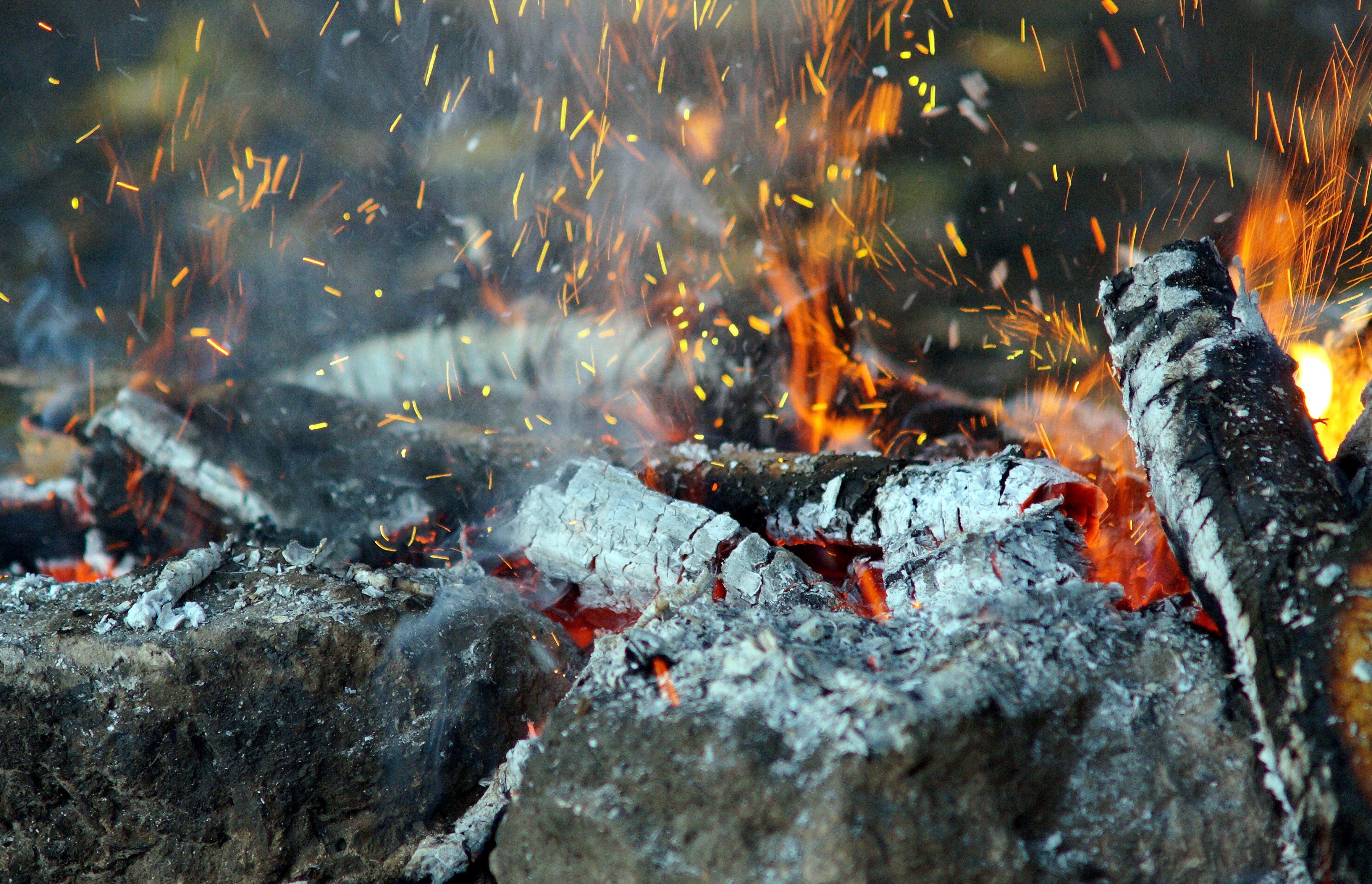 fire, Stones, Wood, Sparks, Flames, Forest Wallpaper