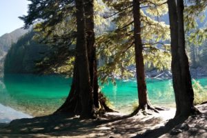 lake, Lindeman, Reflection, Forest, Trees, British, Columbia, Beach, Shore