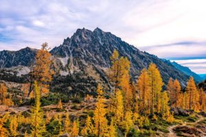 mountains, Trees, Mount, Stuart, Washington, Autumn