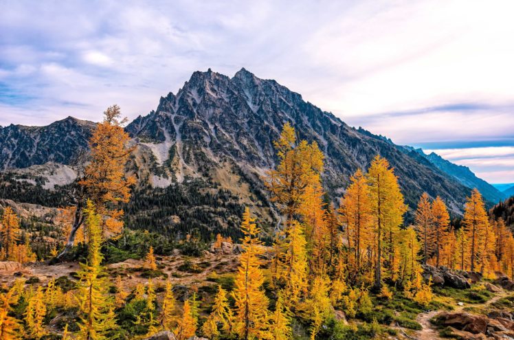 mountains, Trees, Mount, Stuart, Washington, Autumn HD Wallpaper Desktop Background