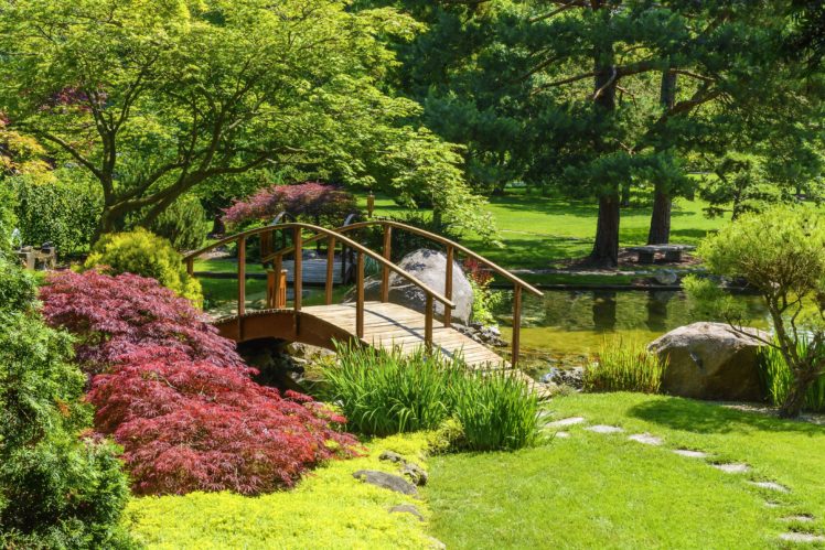 park, River, Bridge, Shrubs, Grass, Nature, Garden HD Wallpaper Desktop Background