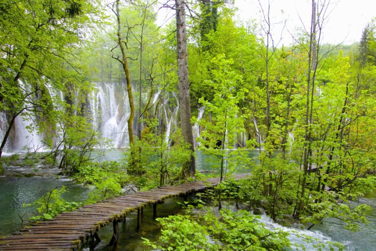 trees, Waterfall, Cascades, National, Park, Plitvice, Lakes, Croatia HD Wallpaper Desktop Background