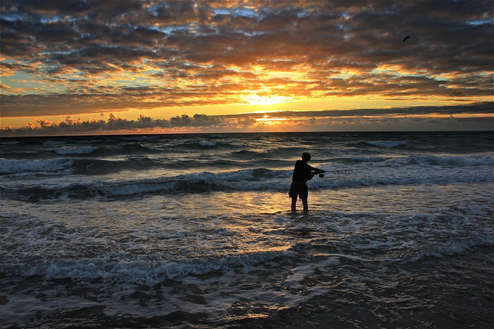 fishing, Fish, Sports, Sunrise, Sunset Wallpaper