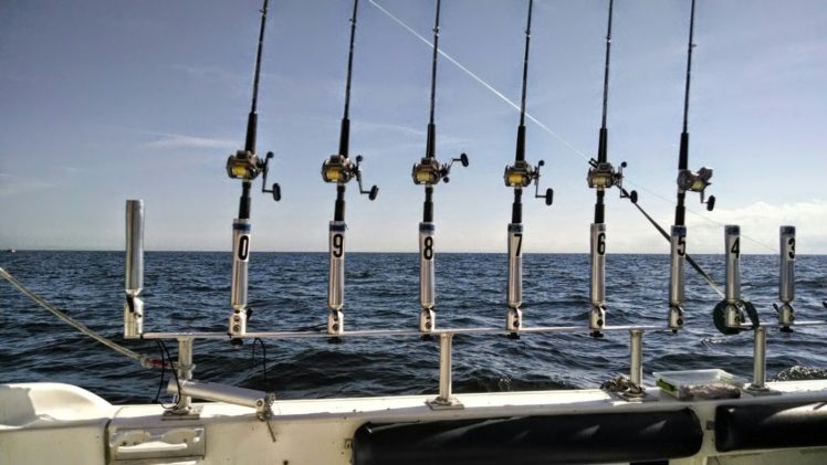 fishing, Fish, Sports, Sunset, Sunrise, Sea, Ocean HD Wallpaper Desktop Background