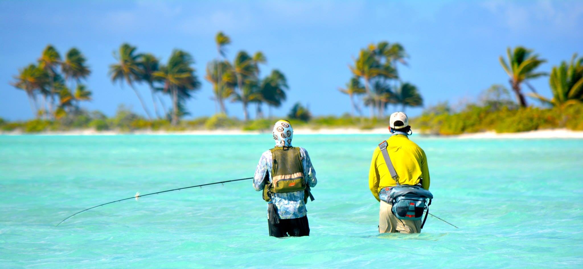 fishing, Fish, Sports, Sunset, Sunrise, Sea, Ocean, Tropical Wallpaper