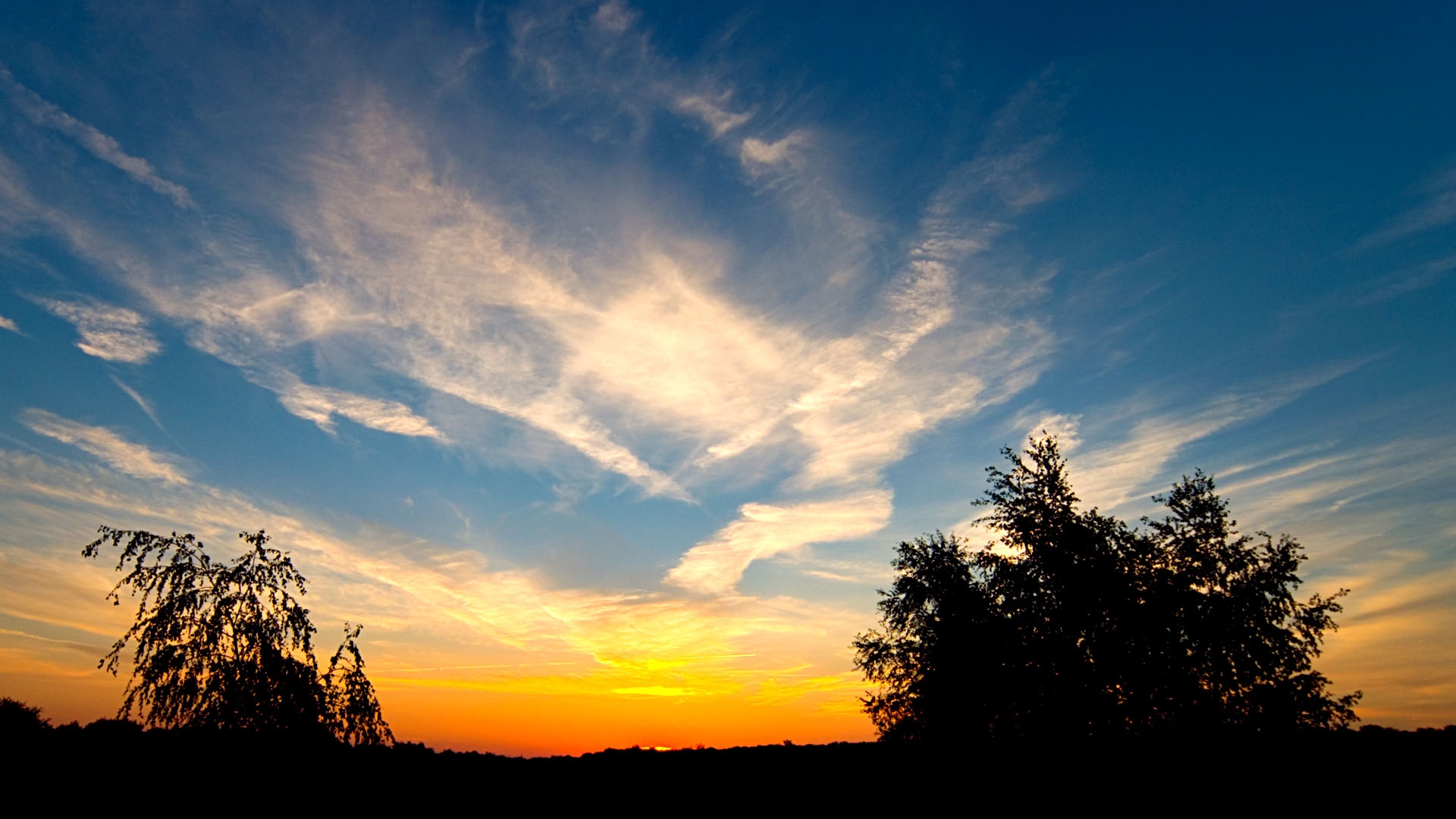 sunset, Clouds, Landscapes, Trees Wallpaper
