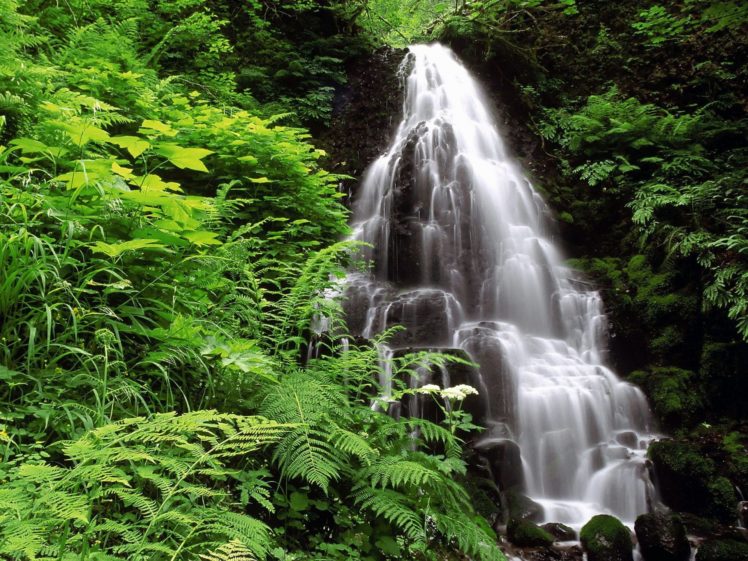 landscapes, Nature, Waterfalls HD Wallpaper Desktop Background