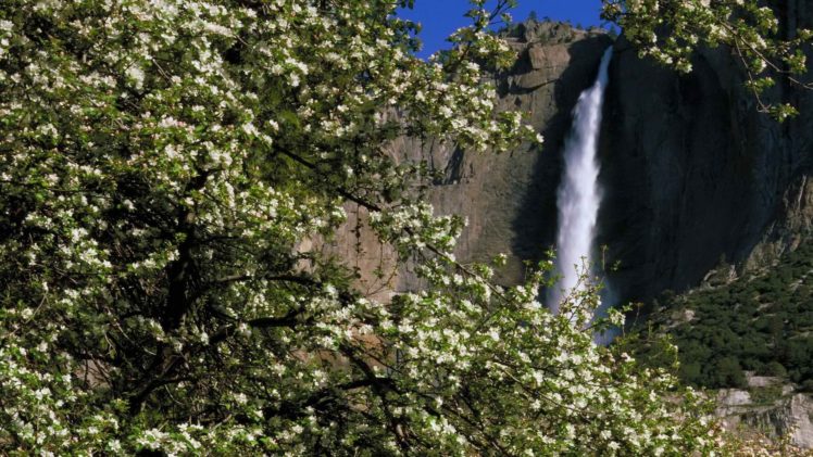 spring,  season , Falls, California, Yosemite, National, Park HD Wallpaper Desktop Background