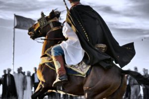 horses, Chaoui, Batna, Africa, North, Festival, Review, Horsemen, Traditions, Algeria, Amazigh, Aures, Fun