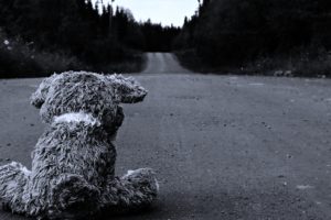 sad, Roads, Stuffed, Animals, Monochrome, Teddy, Bears, Blackandwhite, Landscape, Forest, Lonely, Quiet