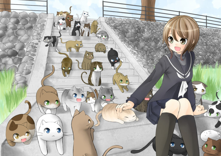 animal, Cat, Nekonaka, Original, Seifuku HD Wallpaper Desktop Background