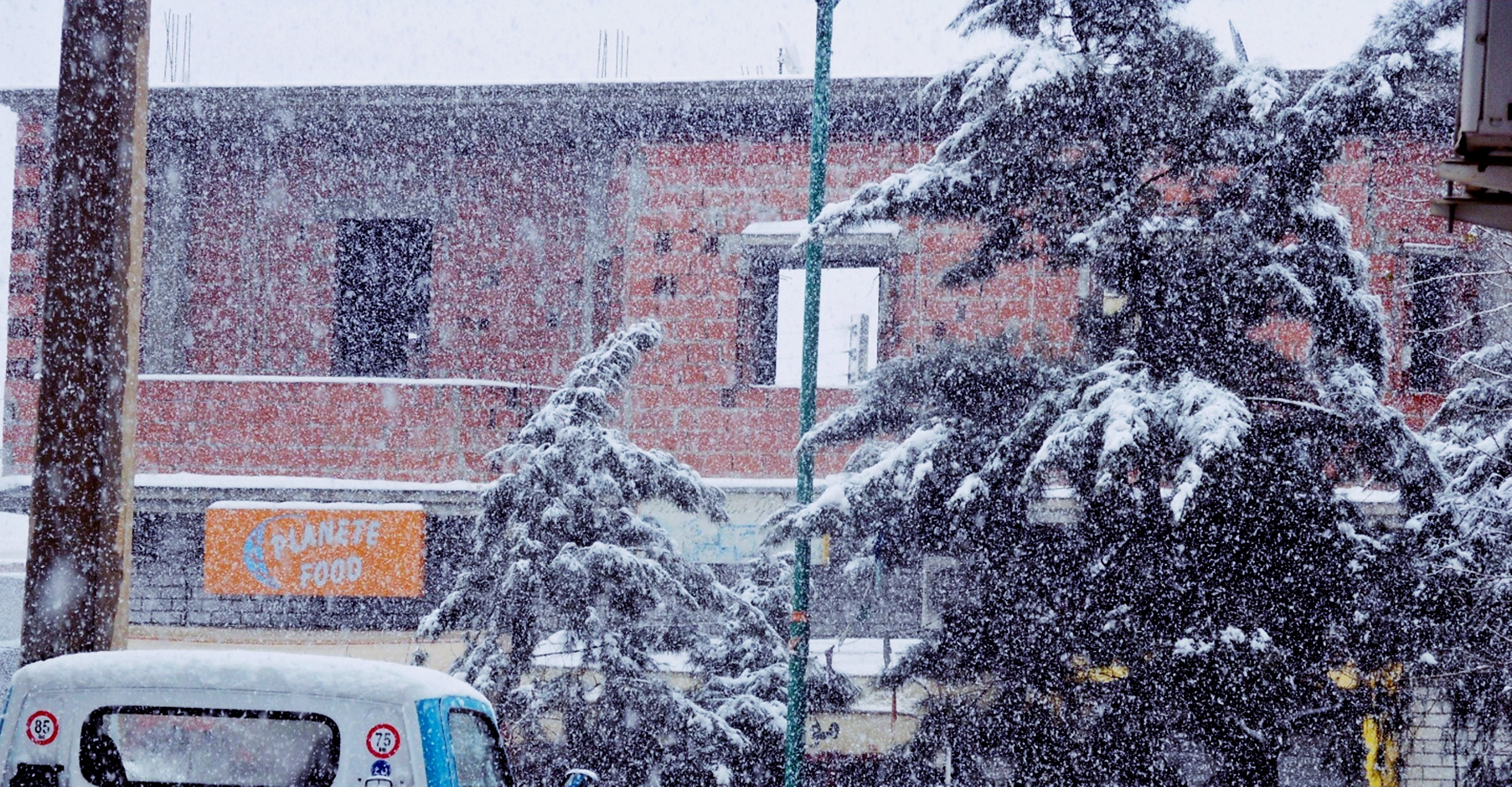 snow, Heavy, Trees, Winter, Landscapes, Houses, City, Tebessa, Africa, North, Algeria, Cold Wallpaper