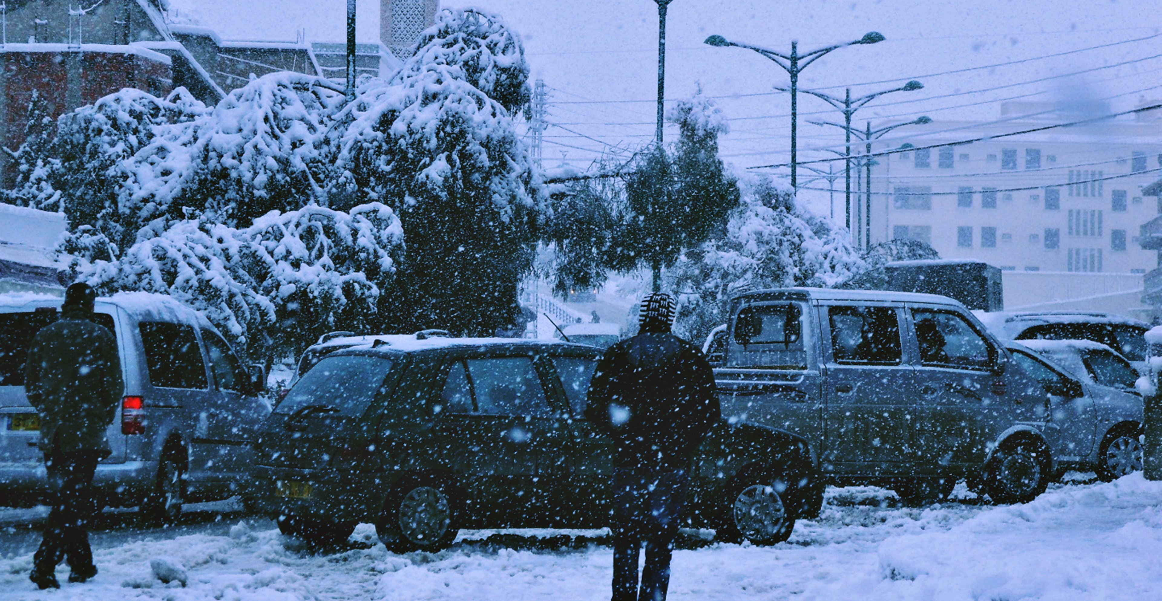 snow, Heavy, Trees, Winter, Landscapes, Houses, City, Tebessa, Africa, North, Algeria, Cold, Cars, City Wallpaper
