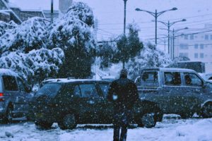snow, Heavy, Trees, Winter, Landscapes, Houses, City, Tebessa, Africa, North, Algeria, Cold, Cars, City
