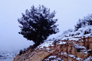 africa, Algeria, Amazigh, Aures, Chaoui, Countryside, Hills, Houses, Landscapes, Mountains, Nature, North, Snow, Tebessa, Town, Winter, Cheria, Trees, Rocks, Road