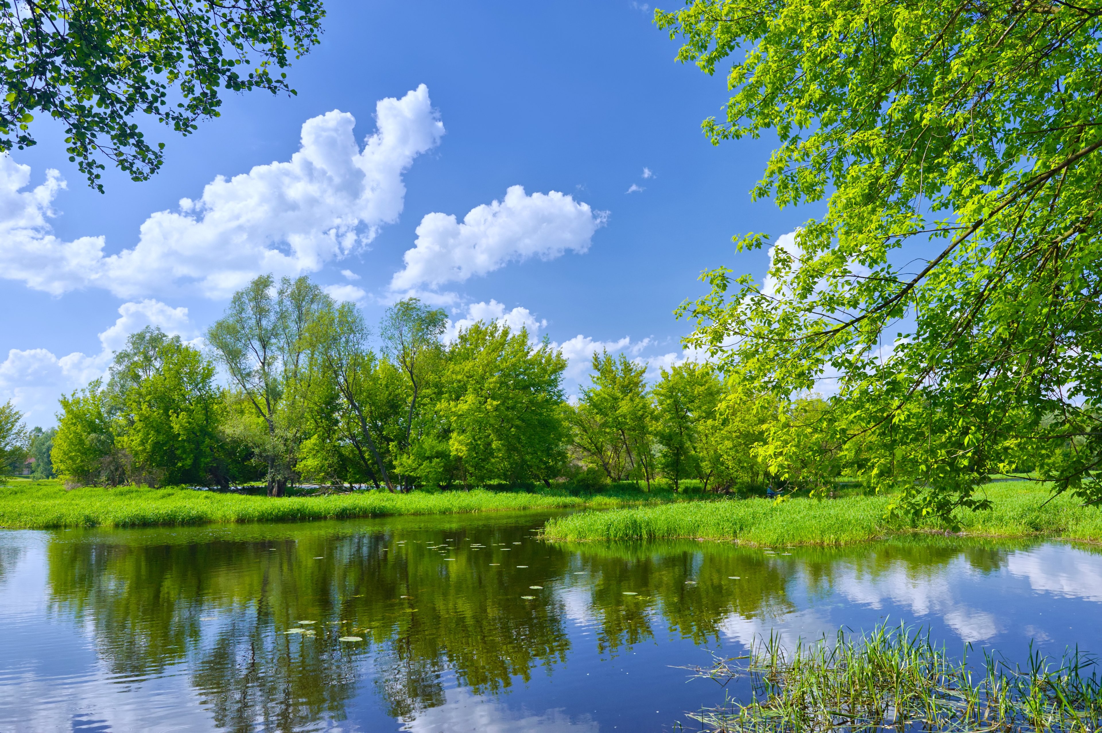 nature, Landscapes, Earth, Lakes, Trees, Forest, Sky, Clouds, Beauty, Spring, Sunny Wallpaper