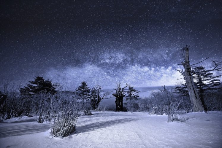nature, Sky, Night, Stars, Landscape, Snow, Winter HD Wallpaper Desktop Background