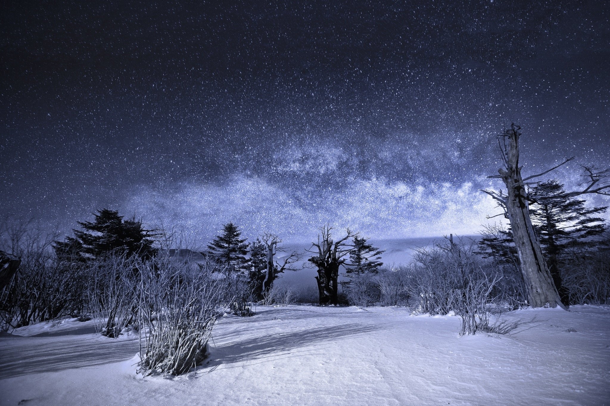 nature, Sky, Night, Stars, Landscape, Snow, Winter Wallpaper