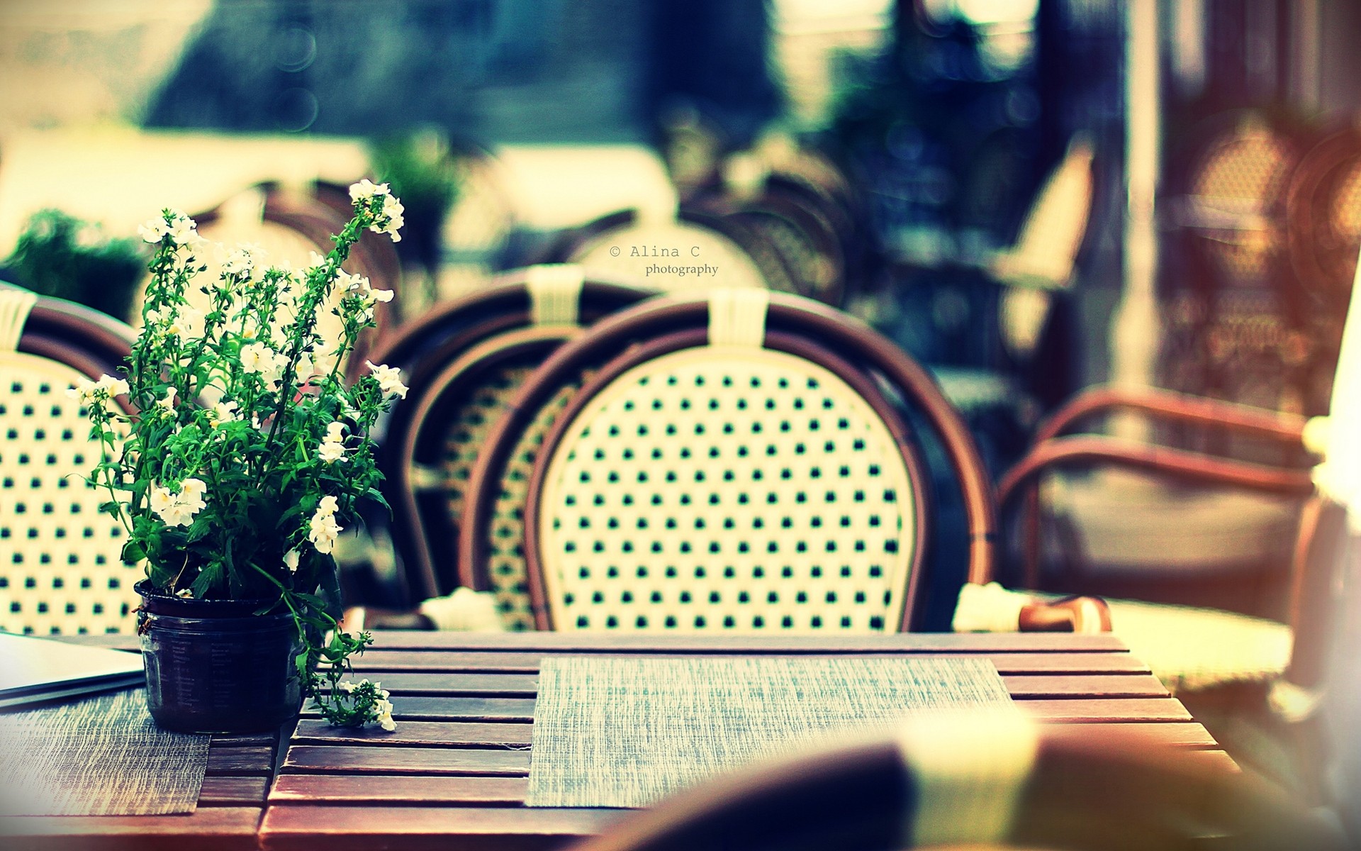 outdoors, Tables, Bokeh, Chairs, Depth, Of, Field, White, Flowers, Blurred, Background, Potted, Plant Wallpaper
