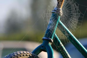 web, Spiders, Motorbikes