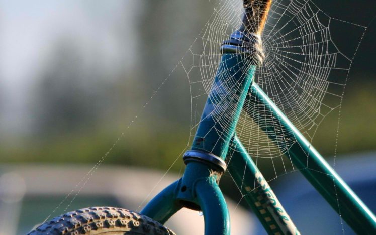 web, Spiders, Motorbikes HD Wallpaper Desktop Background