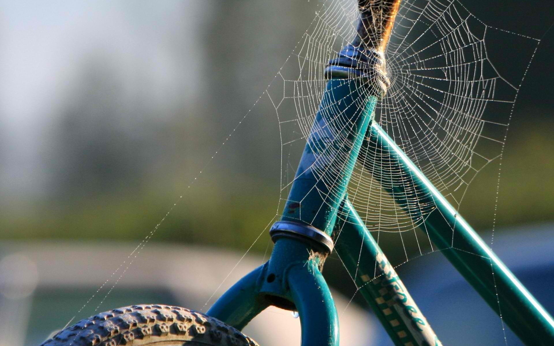 web, Spiders, Motorbikes Wallpaper