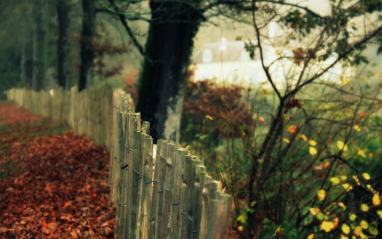 fences, Leaves, Garden, Fallen, Leaves HD Wallpaper Desktop Background