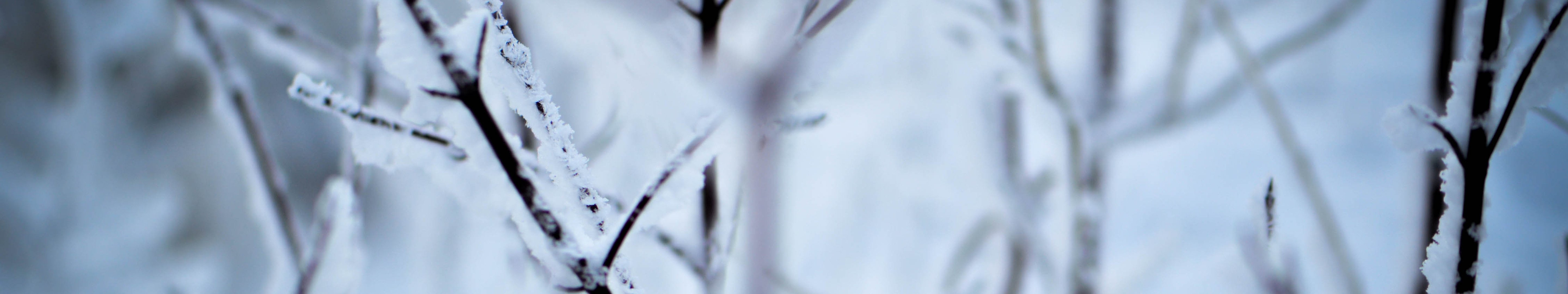 wallpaper, Triple, Multi, Multiple, Monitor, Screen, Hiver, Winte Wallpaper