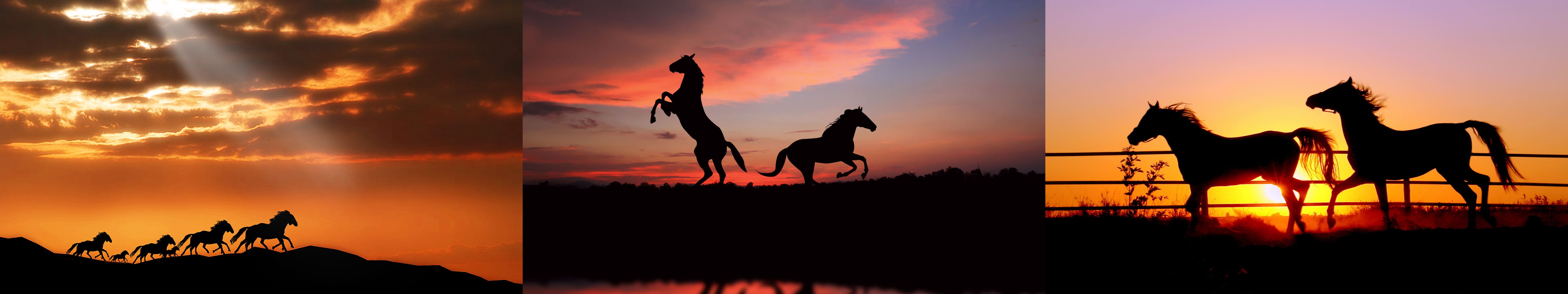 wallpaper, Triple, Multi, Multiple, Monitor, Screen, Horse, Cheval, Sunse Wallpaper
