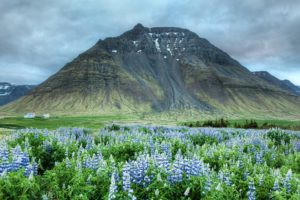 mountains, Clouds, Landscapes, Nature, Iceland, Lupine