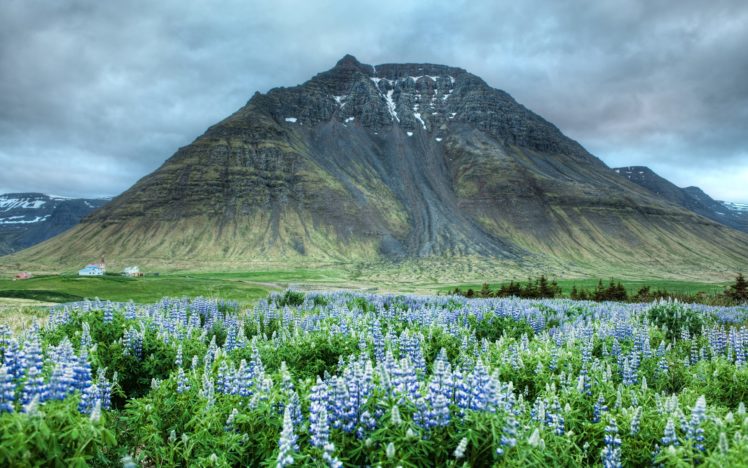 mountains, Clouds, Landscapes, Nature, Iceland, Lupine HD Wallpaper Desktop Background