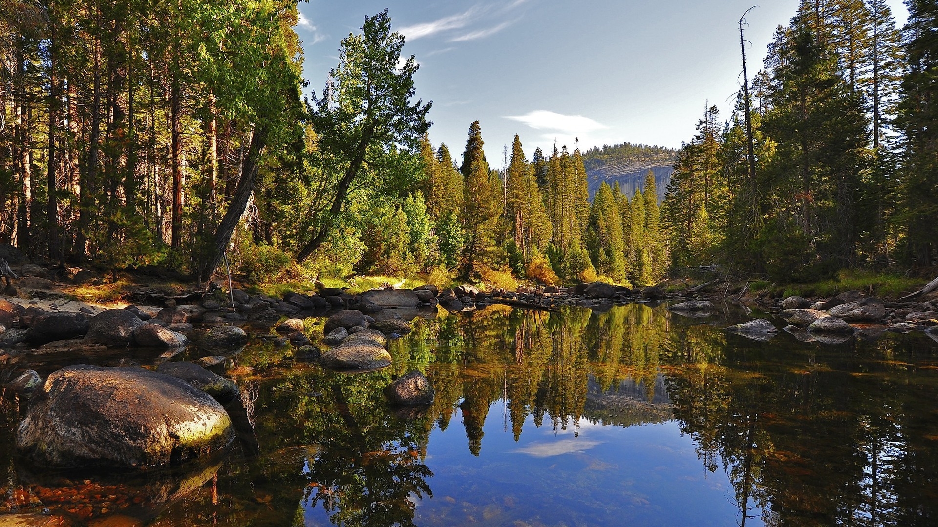 nature Wallpaper