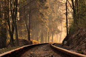 road, Nature, Tree, Forest, Train, Sunlight