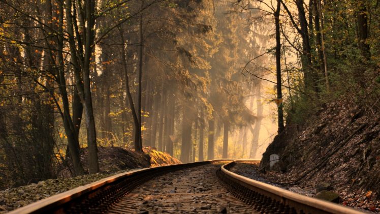 road, Nature, Tree, Forest, Train, Sunlight HD Wallpaper Desktop Background
