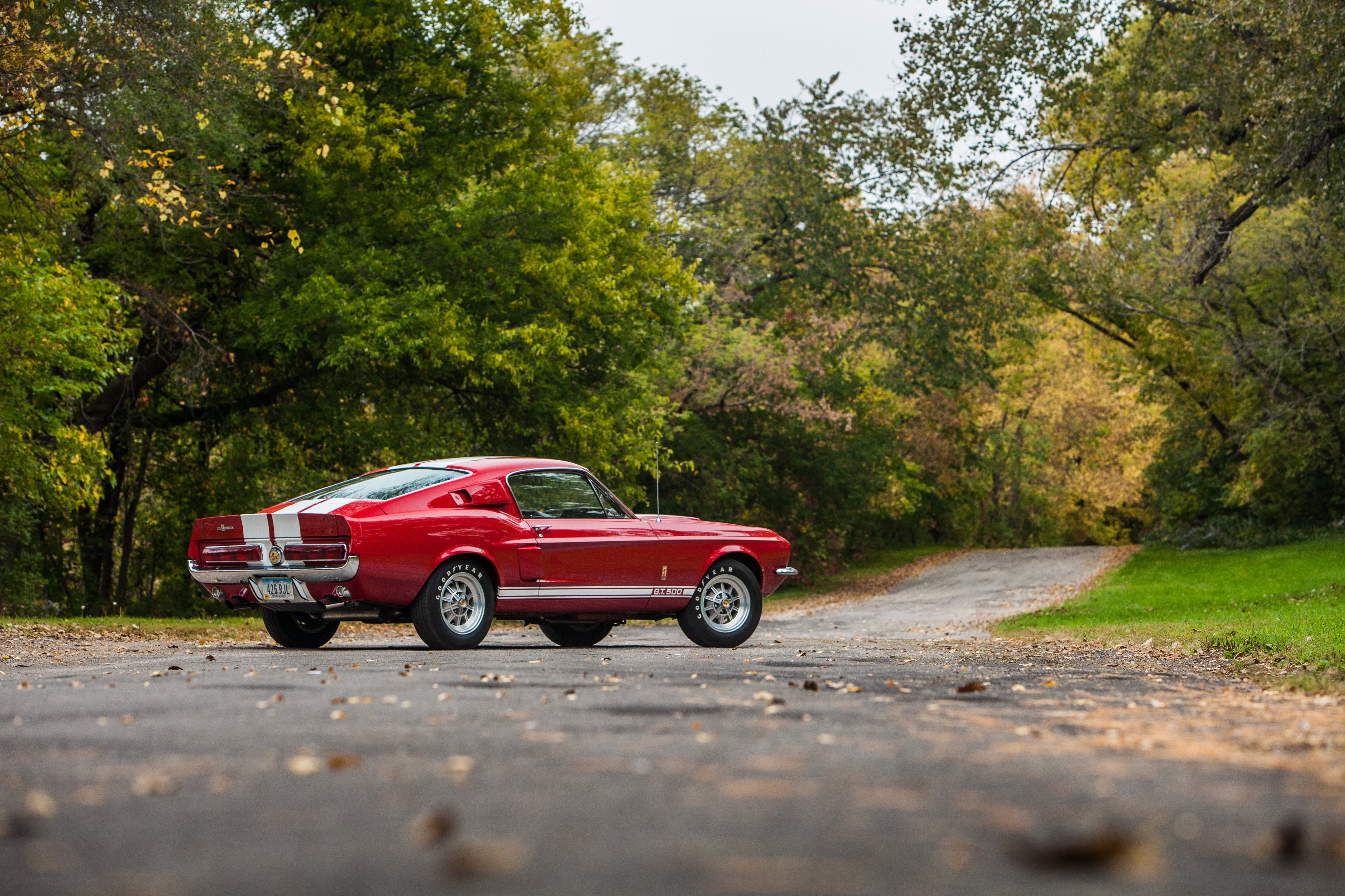 1966, Ford, Mustang, Shelby, Cobra, Gt500, Muscle, Classic, Usa, D ...