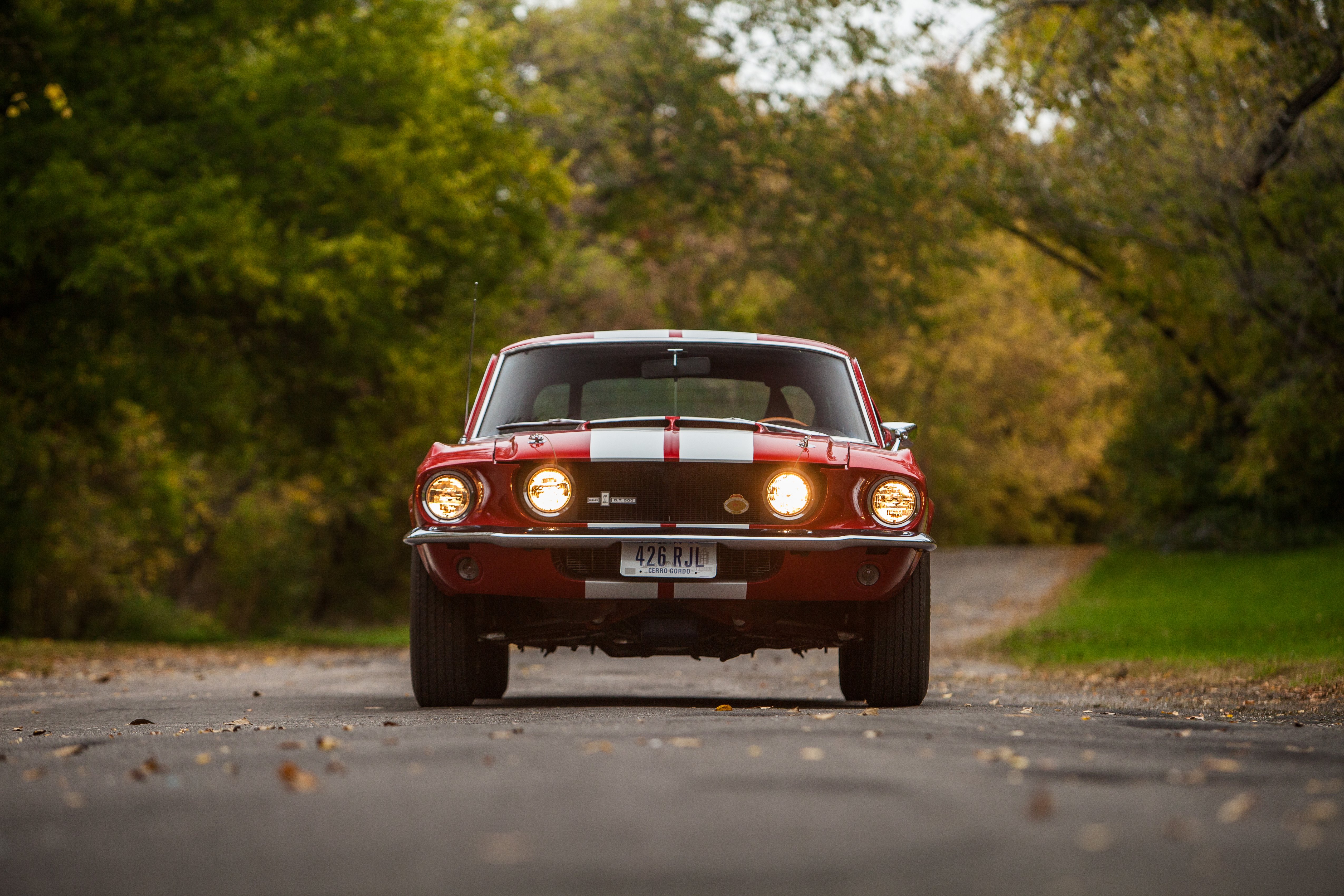 1966 Ford Mustang Shelby Cobra Gt500 Muscle Classic Usa D 5100x3400 10 Wallpapers Hd