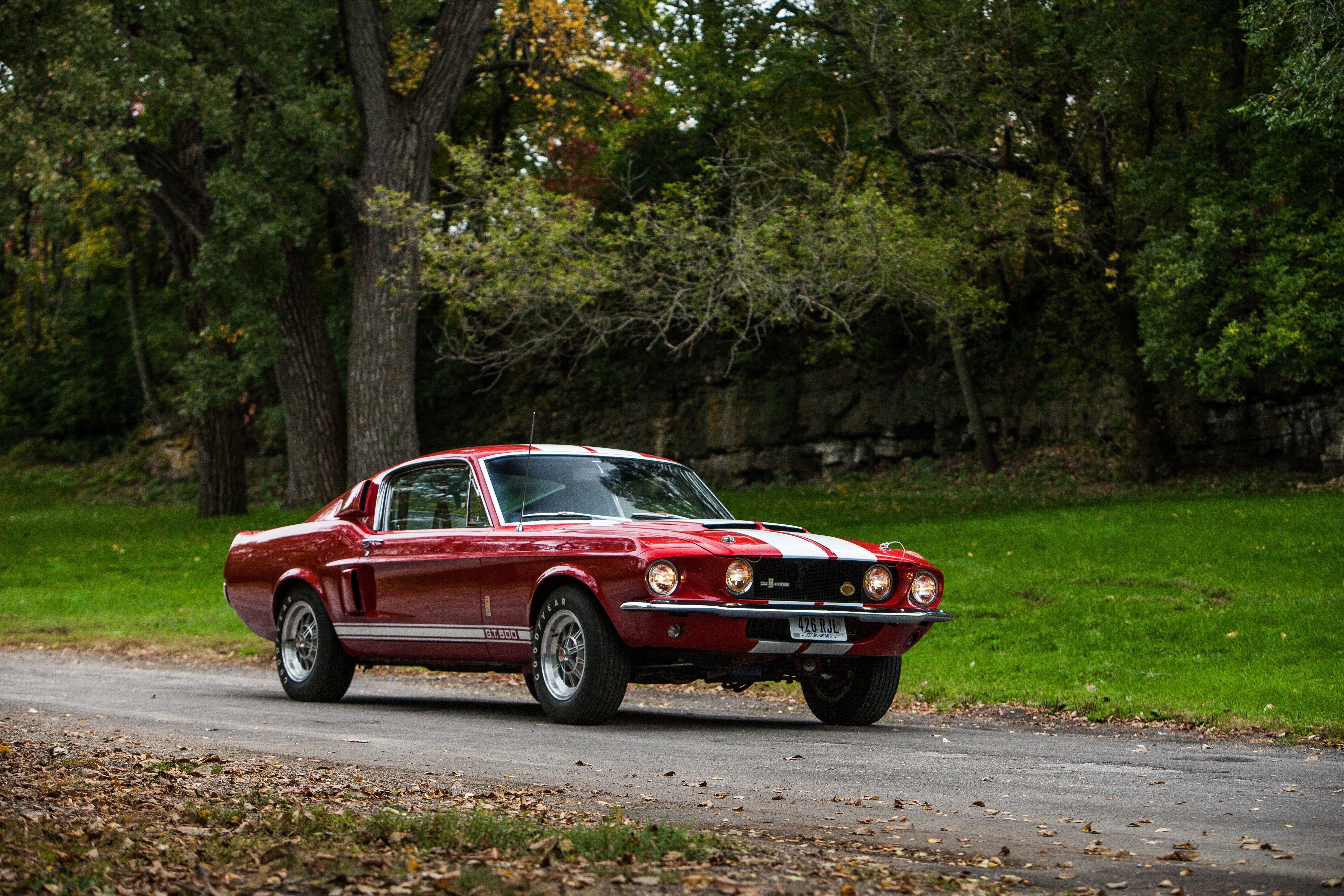 1966, Ford, Mustang, Shelby, Cobra, Gt500, Muscle, Classic, Usa, D ...