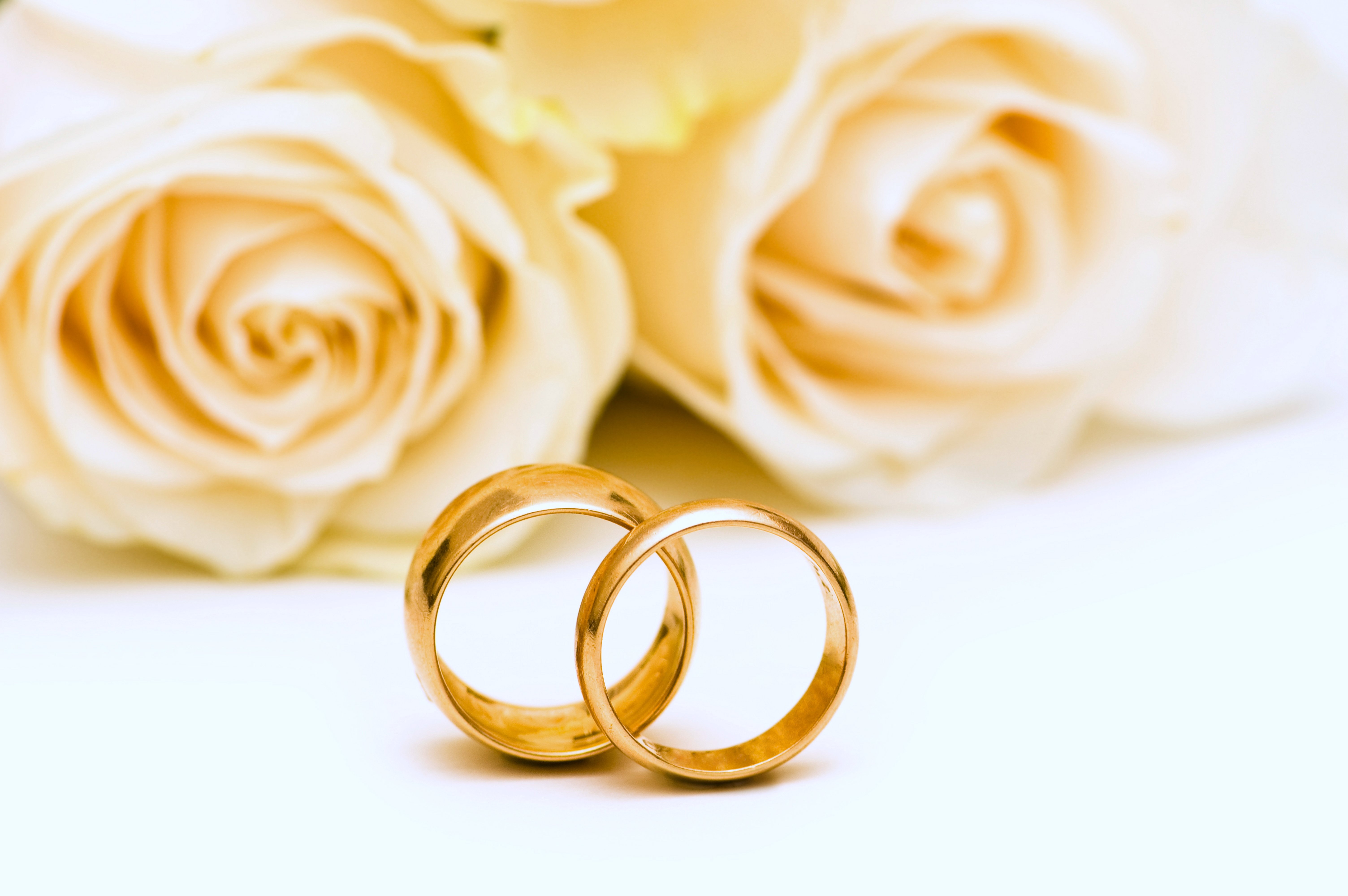 wedding, Rings, Roses, Flowers, Gold, Lovers, Yellow, Romance, Emotions, Marriage, Couple, Girls Wallpaper